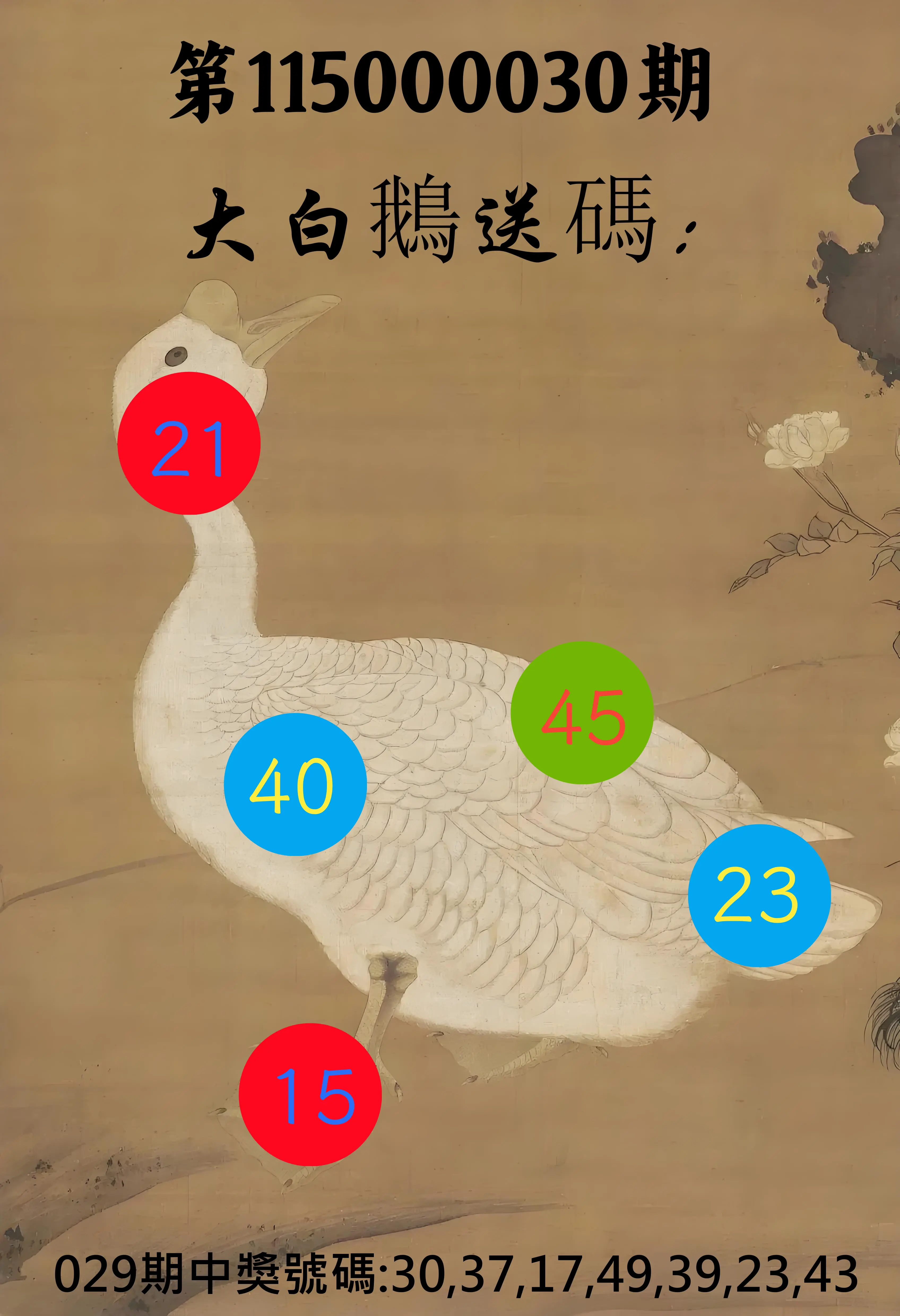 大樂透第115000030期(03/01)大白鵝送碼