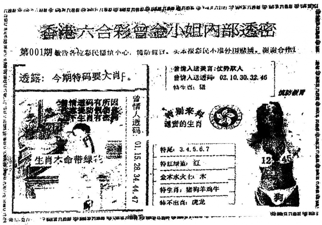 六合彩001期曾金小姐A(黑白)