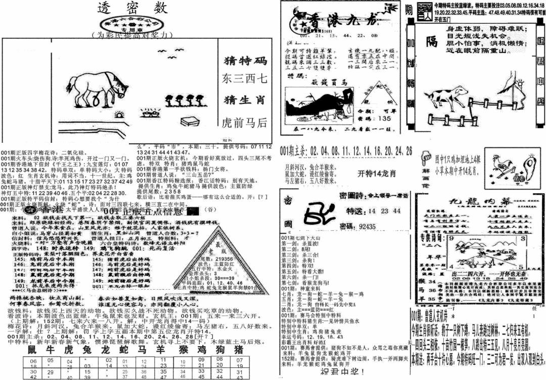 六合彩001期新透密数B(新)(黑白)
