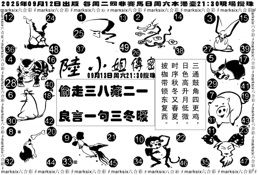 六合彩100期陆小姐传密B(黑白)