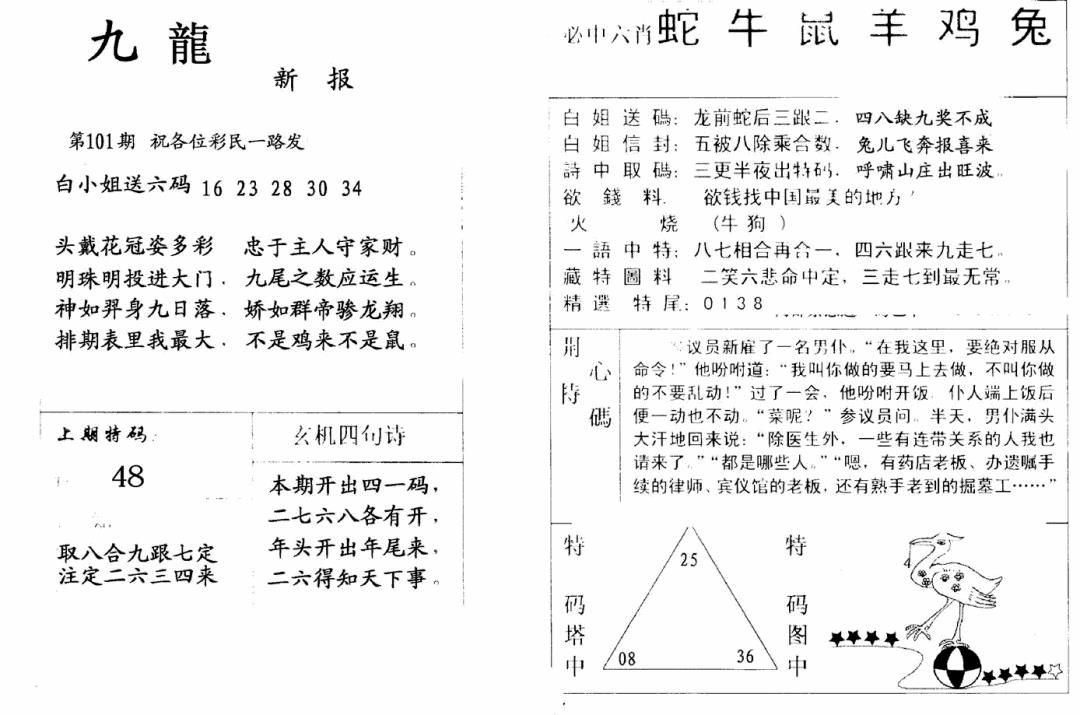 六合彩101期九龙新报(新)(黑白)