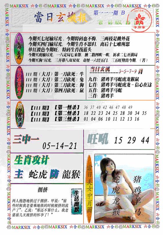 六合彩111期当日特码玄机B(新)(黑白)