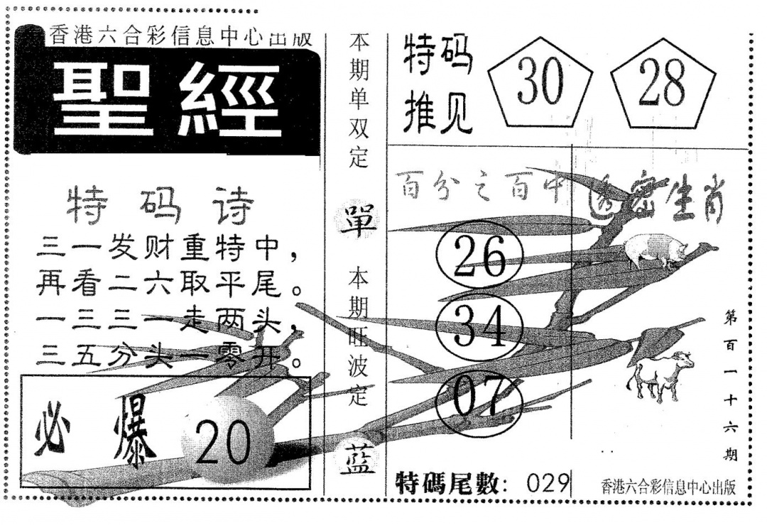 六合彩116期圣经(黑白)