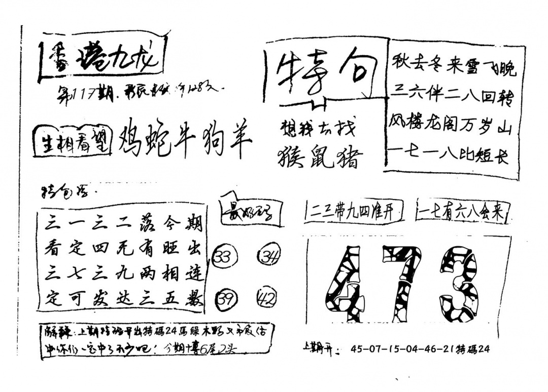 六合彩117期香港九龙(新图)手写(黑白)