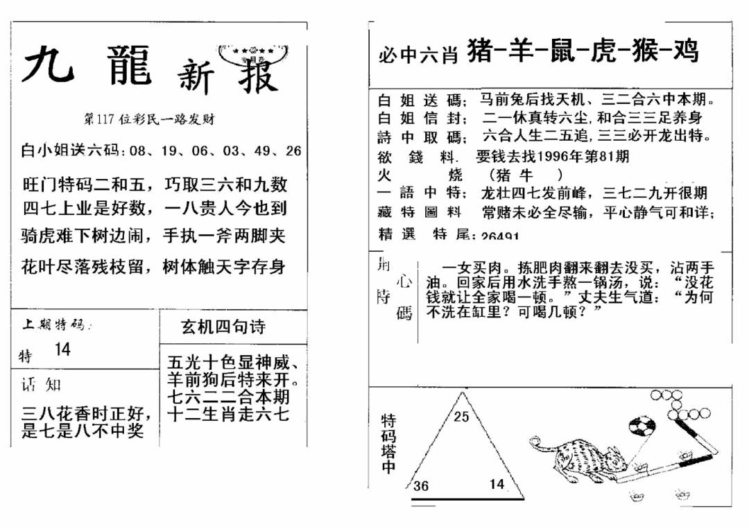 六合彩117期九龙新报(新)(黑白)