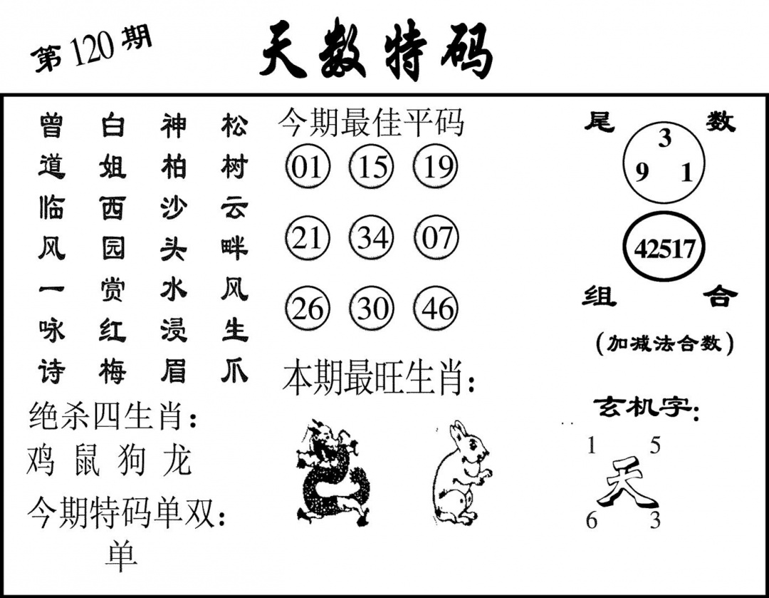 六合彩120期天数特码(黑白)