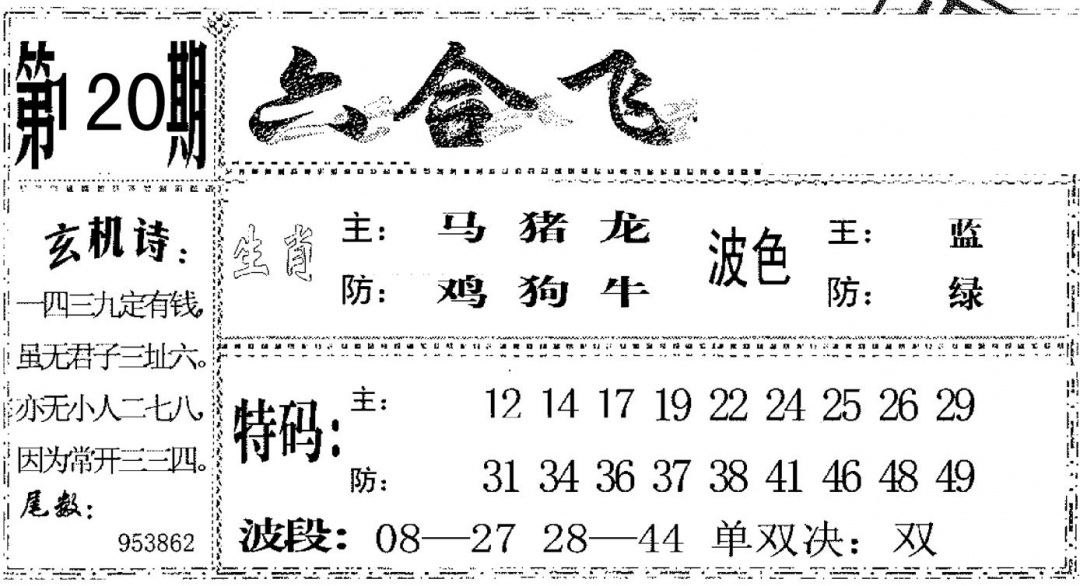 六合彩120期六合飞鸽(黑白)