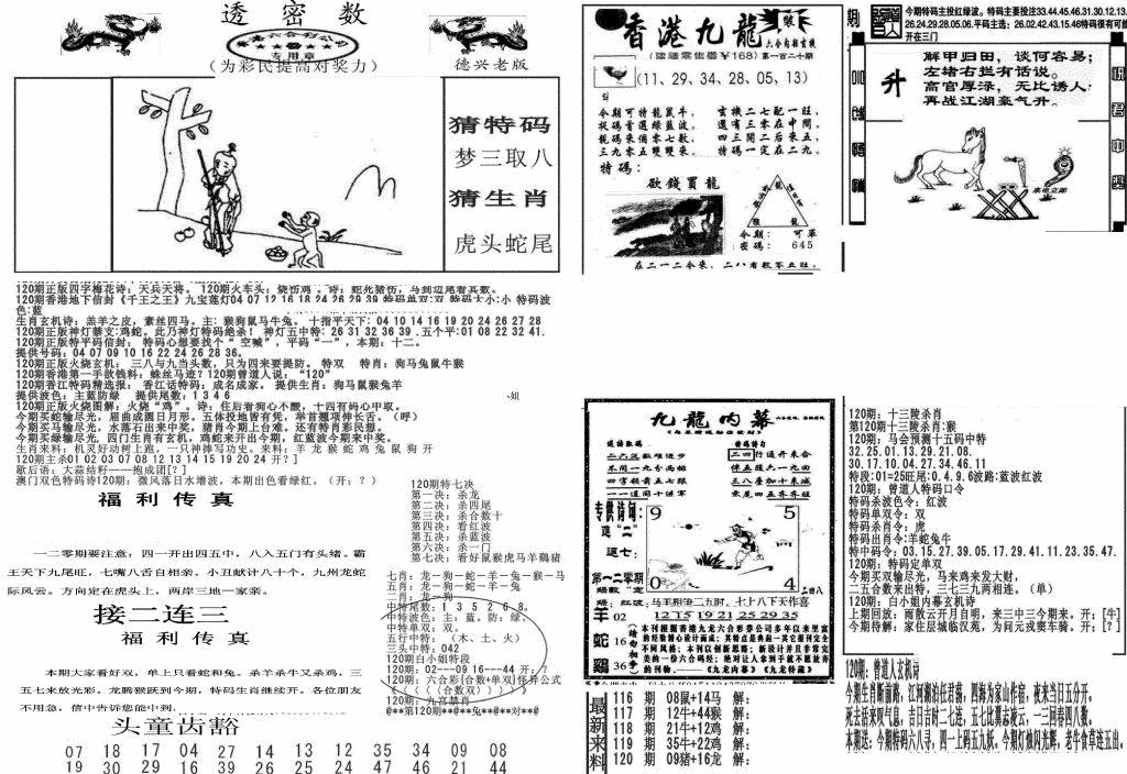 六合彩120期新透密数A(新)(黑白)