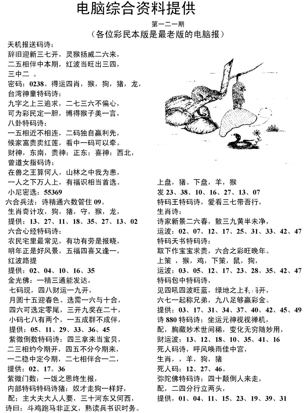 六合彩121期当日电脑综合资料C(黑白)