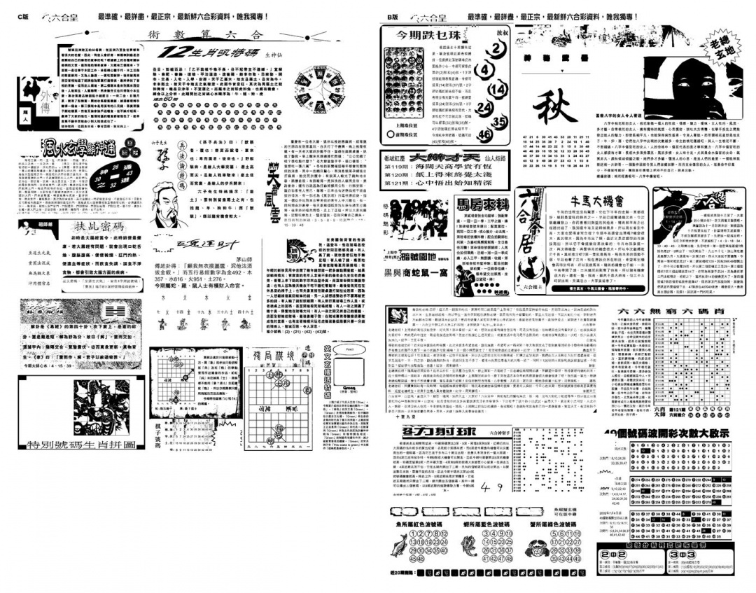 六合彩121期另版六合皇B(黑白)