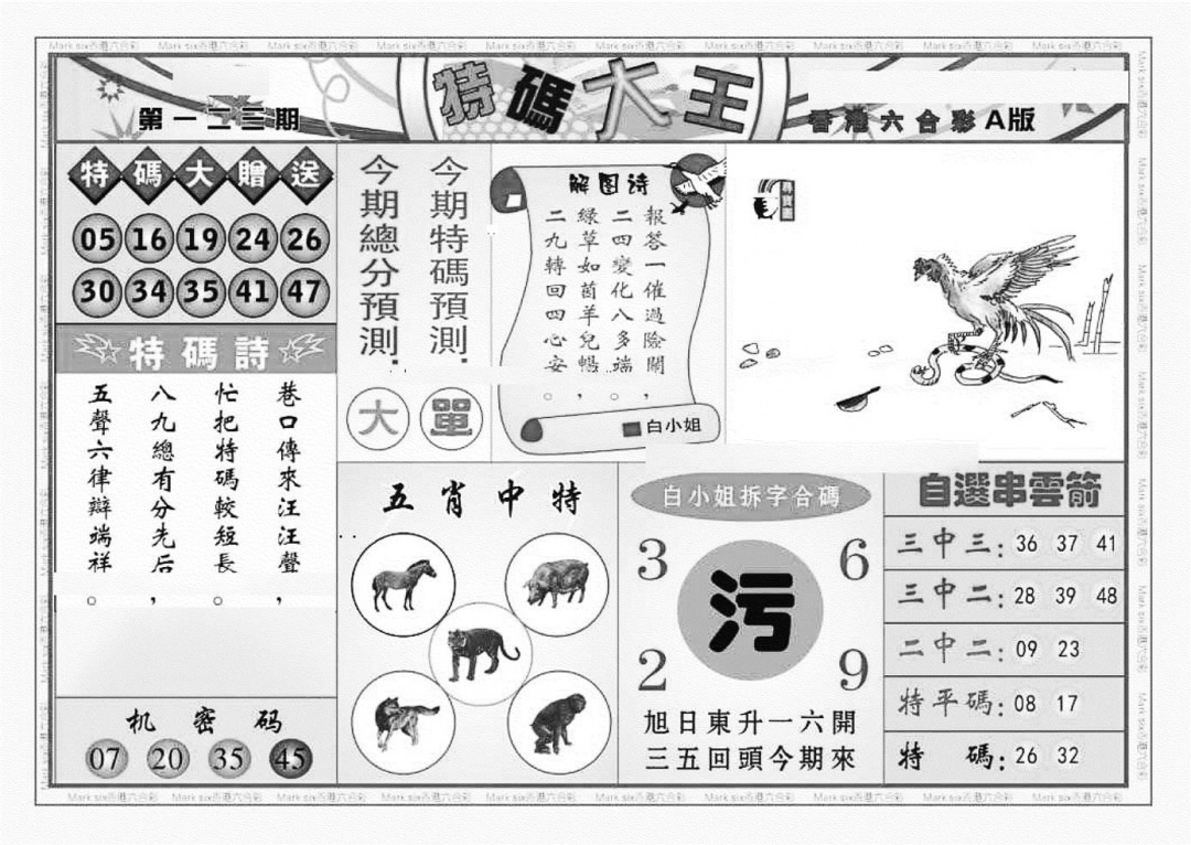 六合彩123期特码大王A（新图）(黑白)