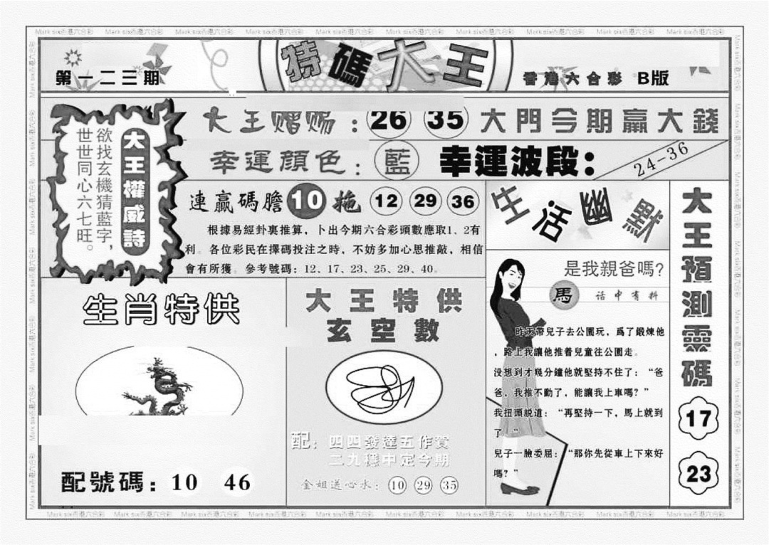 六合彩123期特码大王B（新图）(黑白)