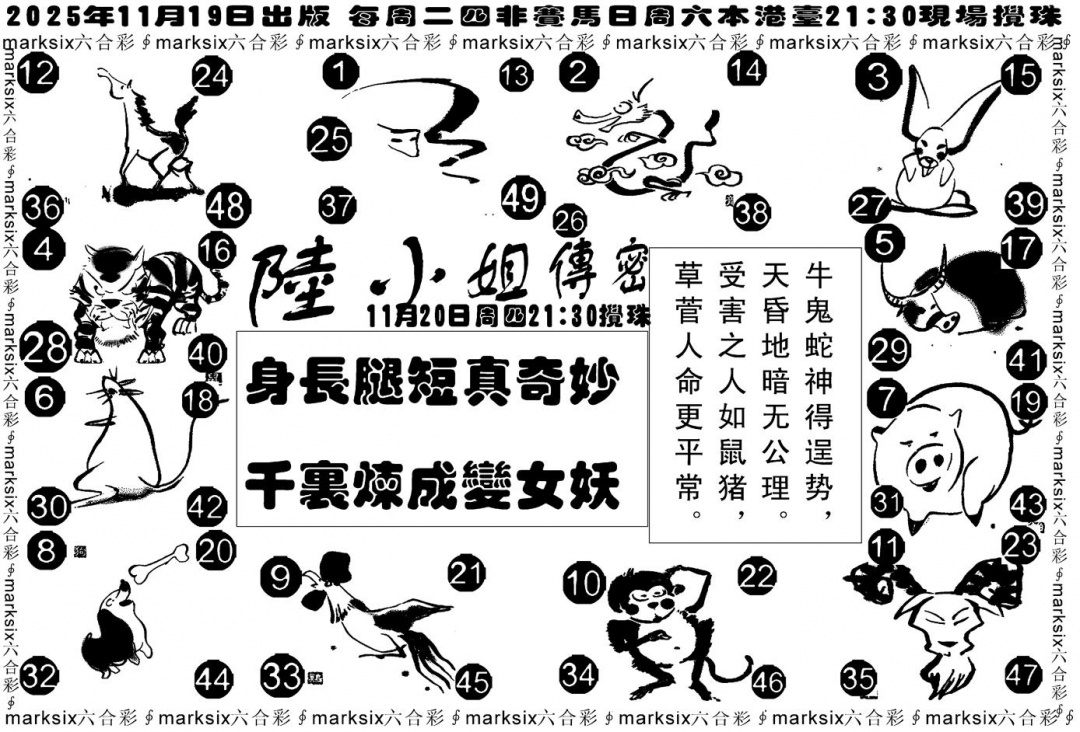 六合彩124期陆小姐传密B(黑白)