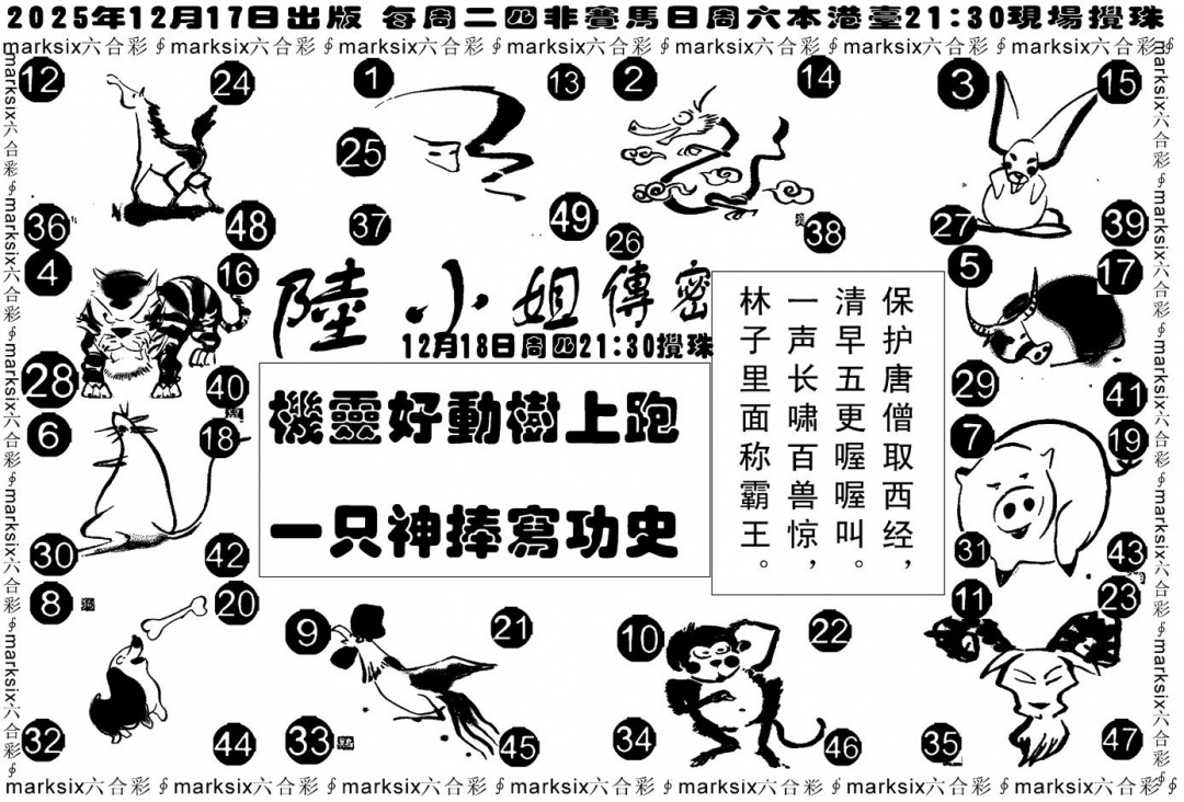 六合彩131期陆小姐传密B(黑白)
