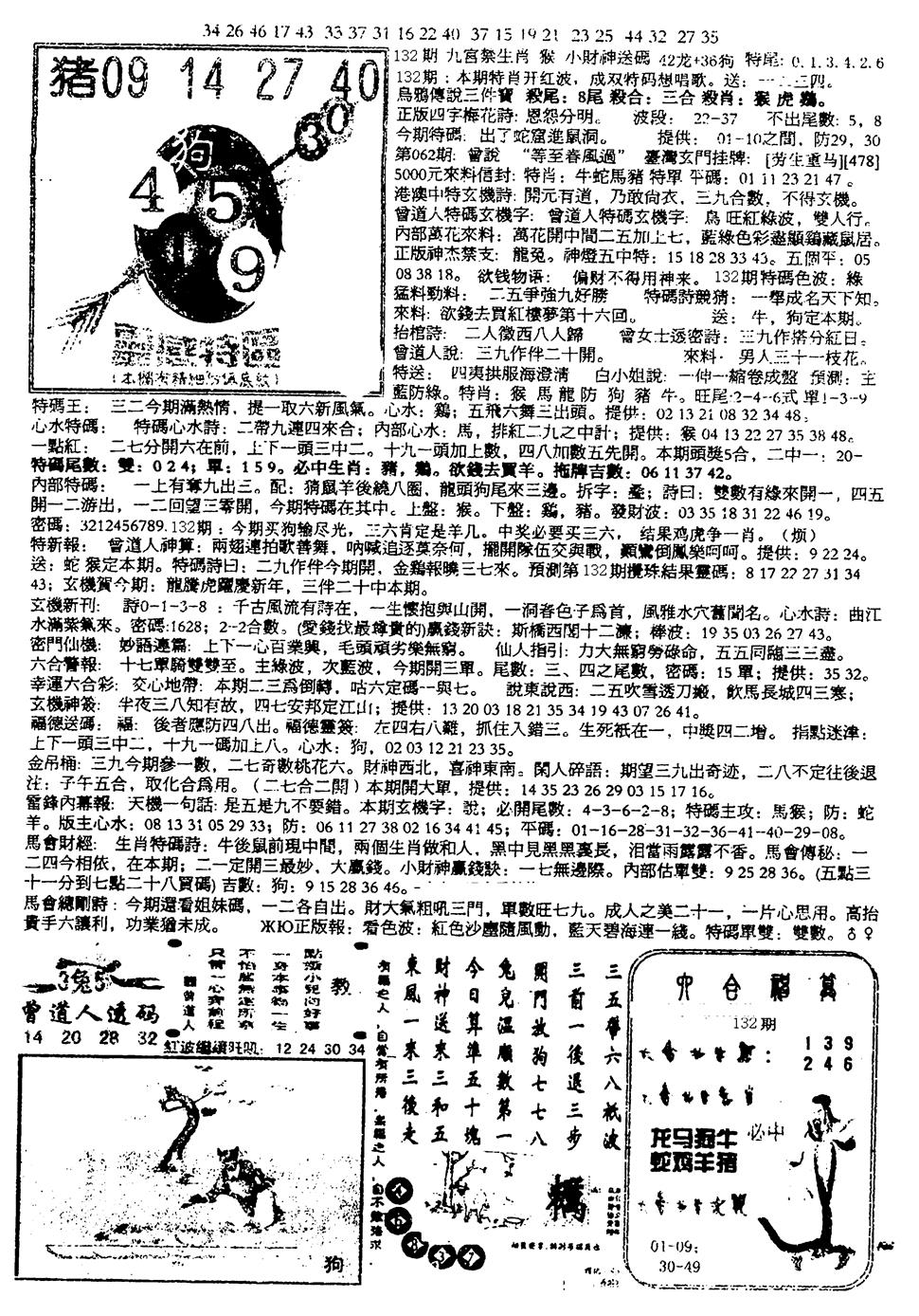 六合彩132期平西版彩霸王B(黑白)