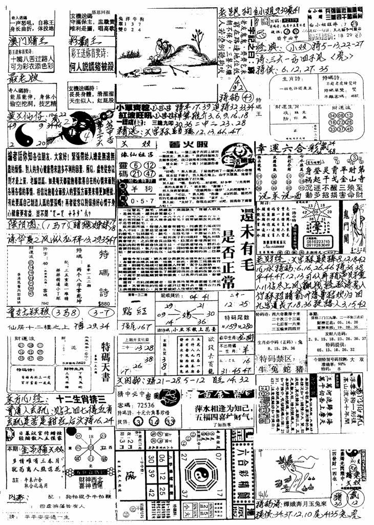 六合彩132期新版手写综合资料A(黑白)