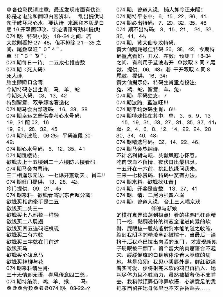 六合彩074期当日电脑综合资料A(黑白)
