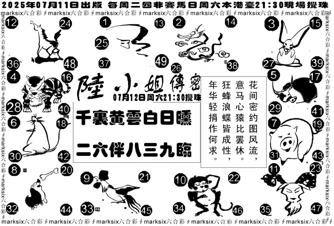 六合彩076期陆小姐传密B(黑白)