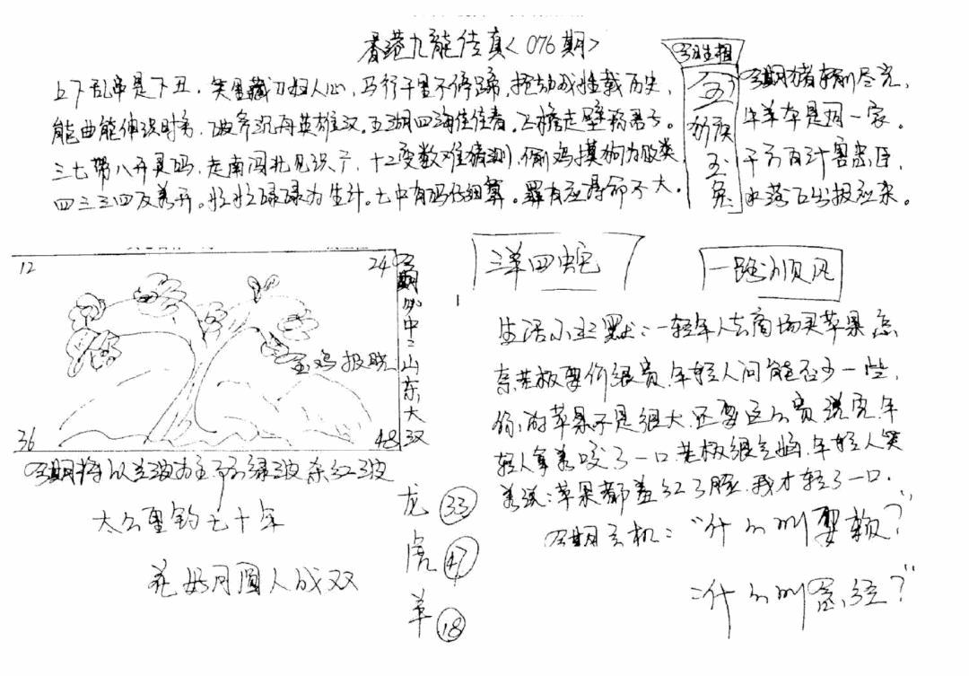 六合彩076期正版手写九龙(黑白)
