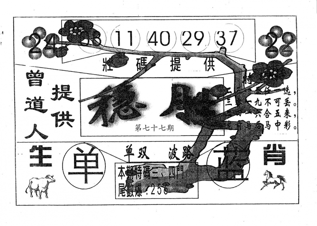 六合彩077期稳胜(黑白)