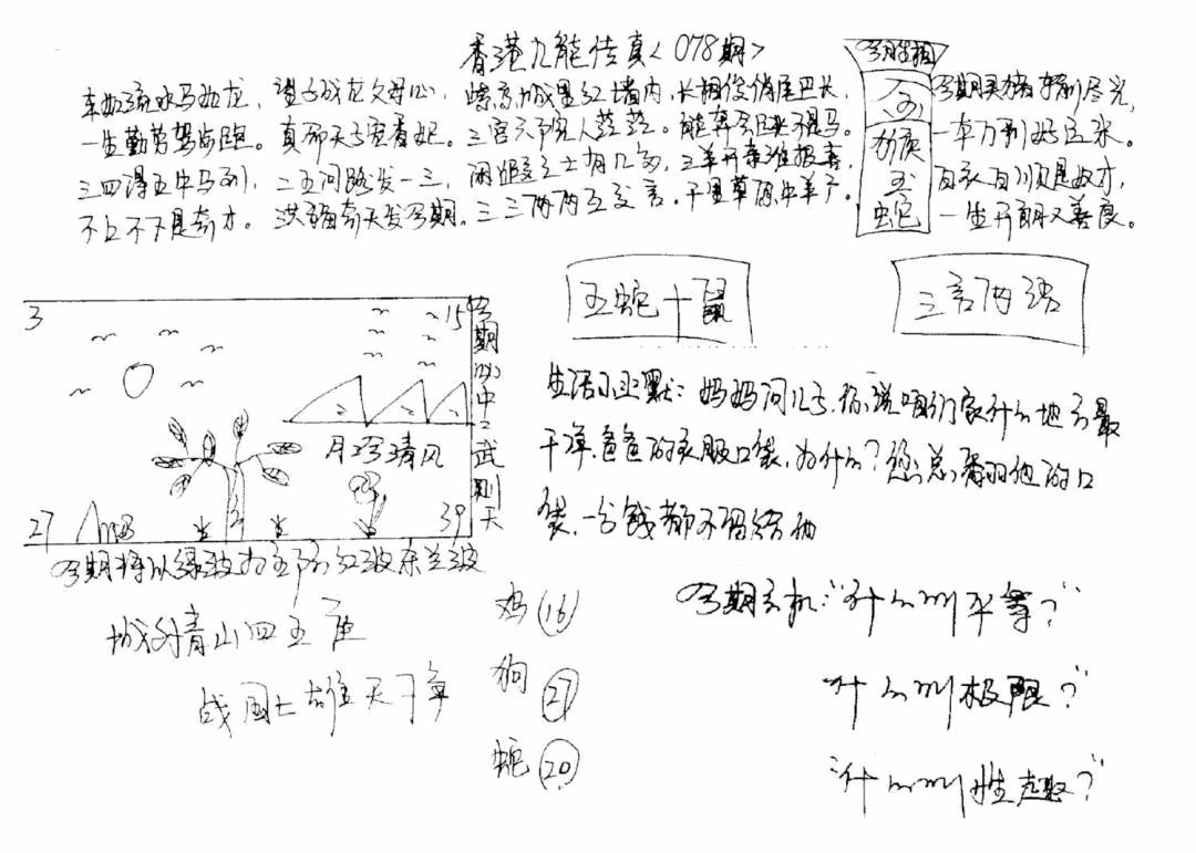 六合彩078期正版手写九龙(黑白)