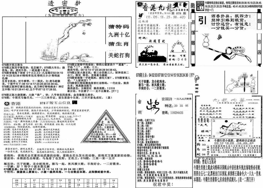 六合彩078期新透密数B(新)(黑白)