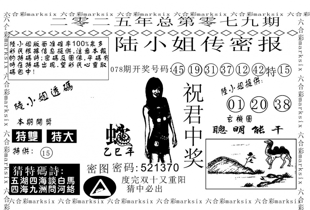 六合彩079期陆小姐传密A(黑白)
