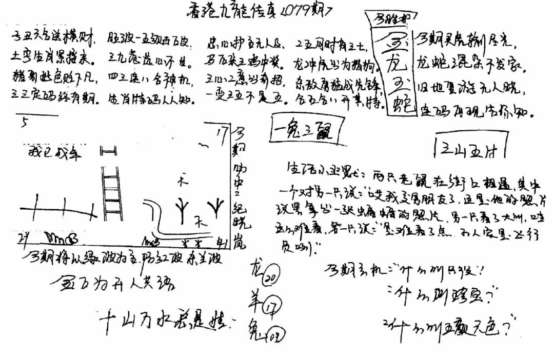 六合彩079期手写九龙内幕B(黑白)