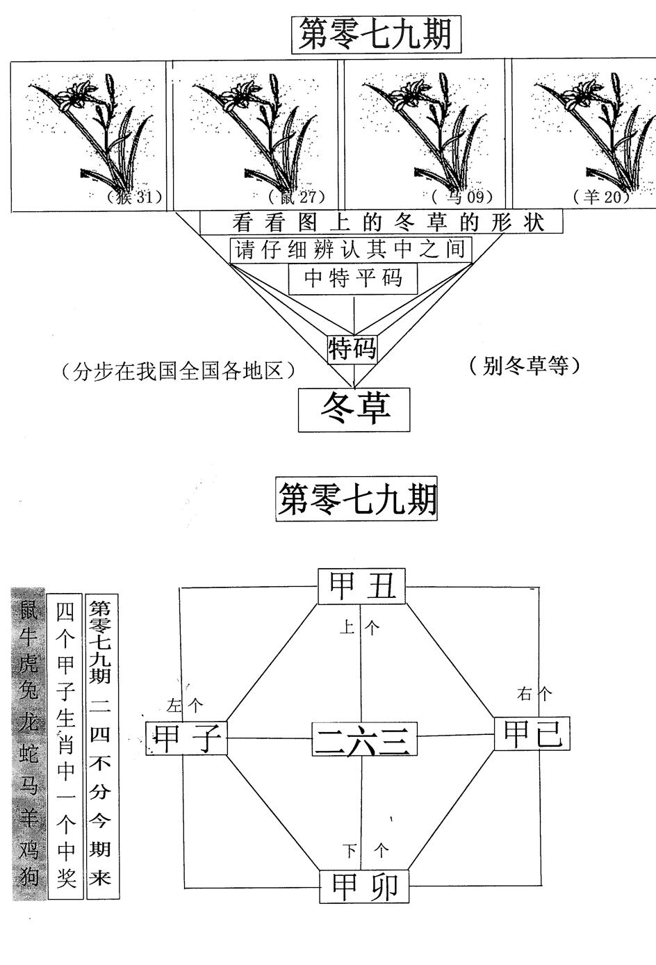 六合彩079期每期一花草(黑白)