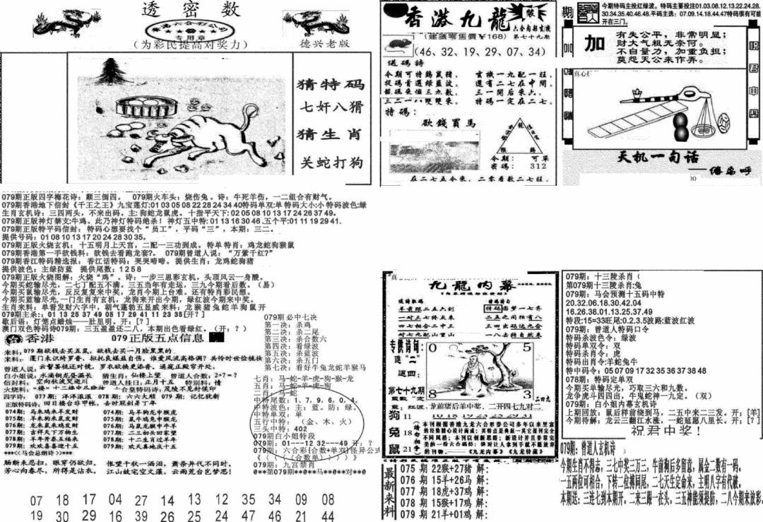 六合彩079期新透密数A(新)(黑白)
