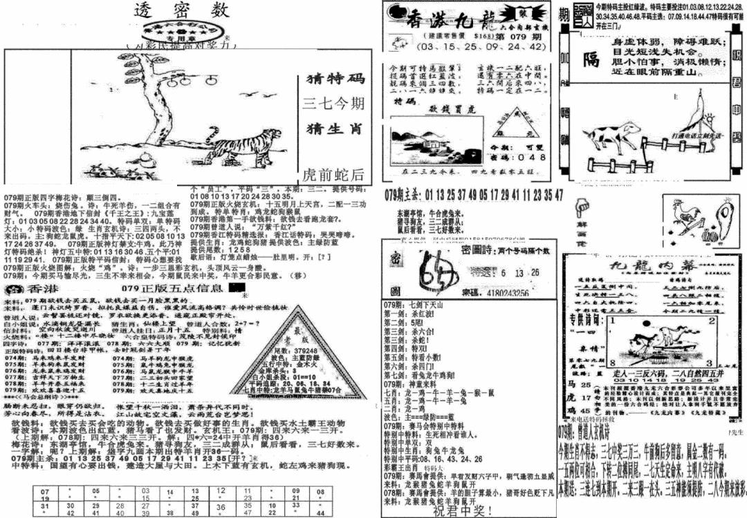 六合彩079期新透密数B(新)(黑白)