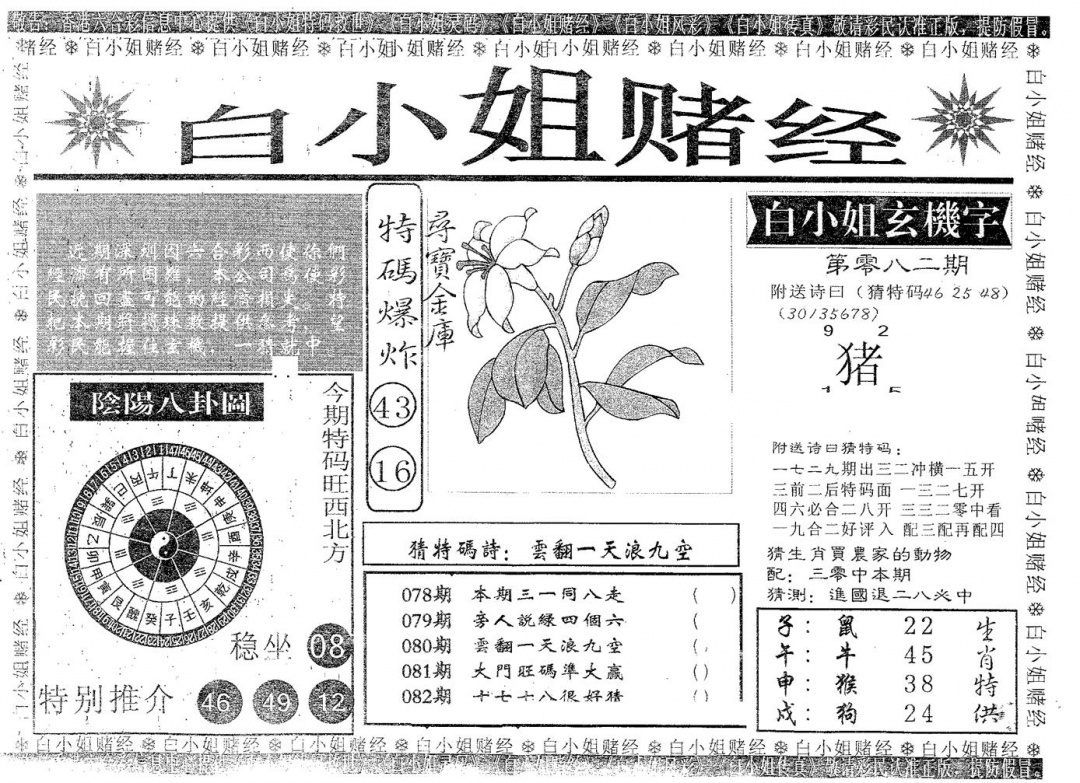 六合彩082期白姐赌经(黑白)