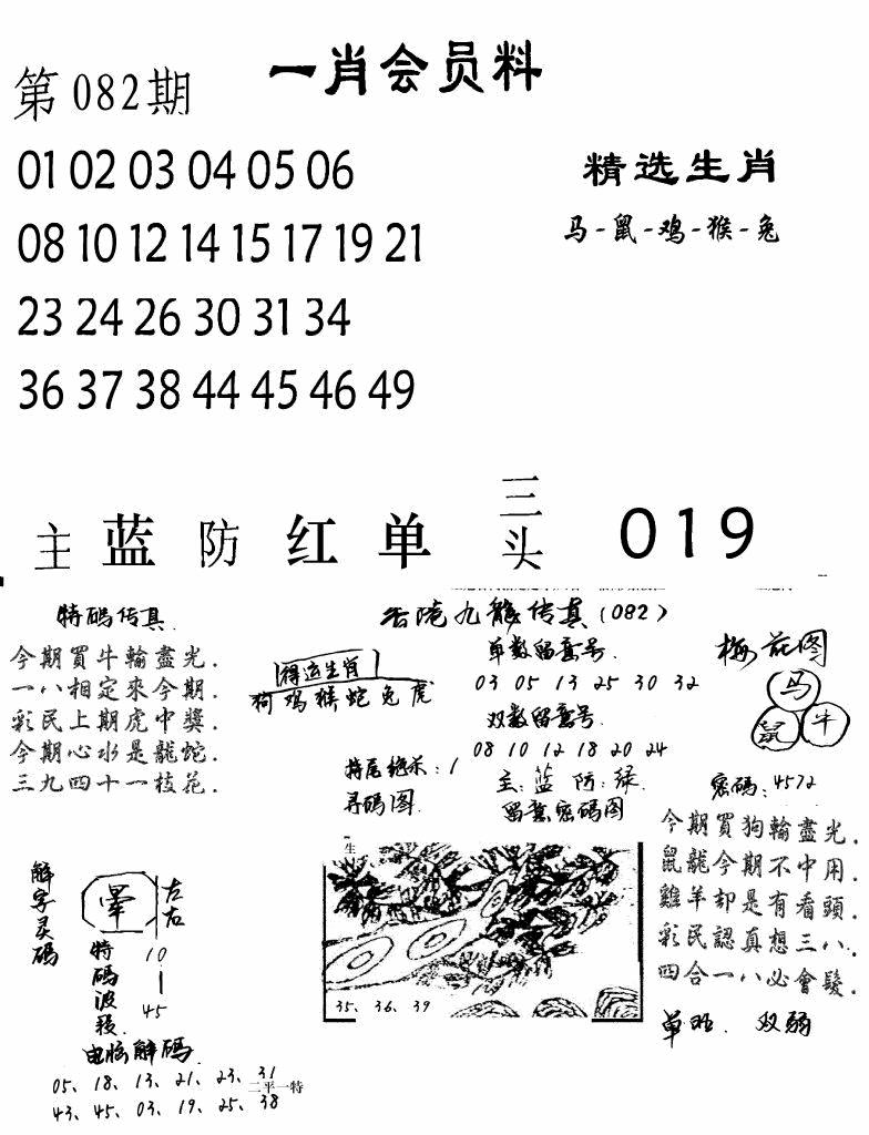 六合彩082期一肖会员料(黑白)