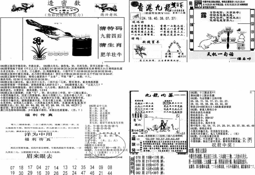 六合彩082期新透密数A(新)(黑白)