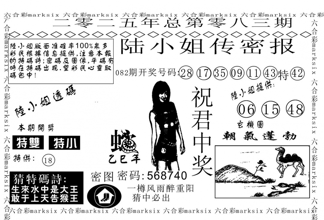 六合彩083期陆小姐传密A(黑白)