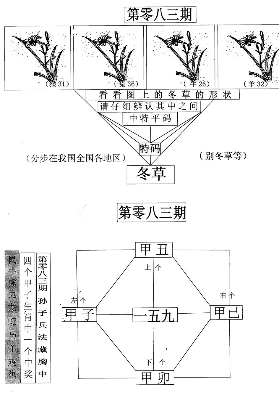 六合彩083期每期一花草(黑白)