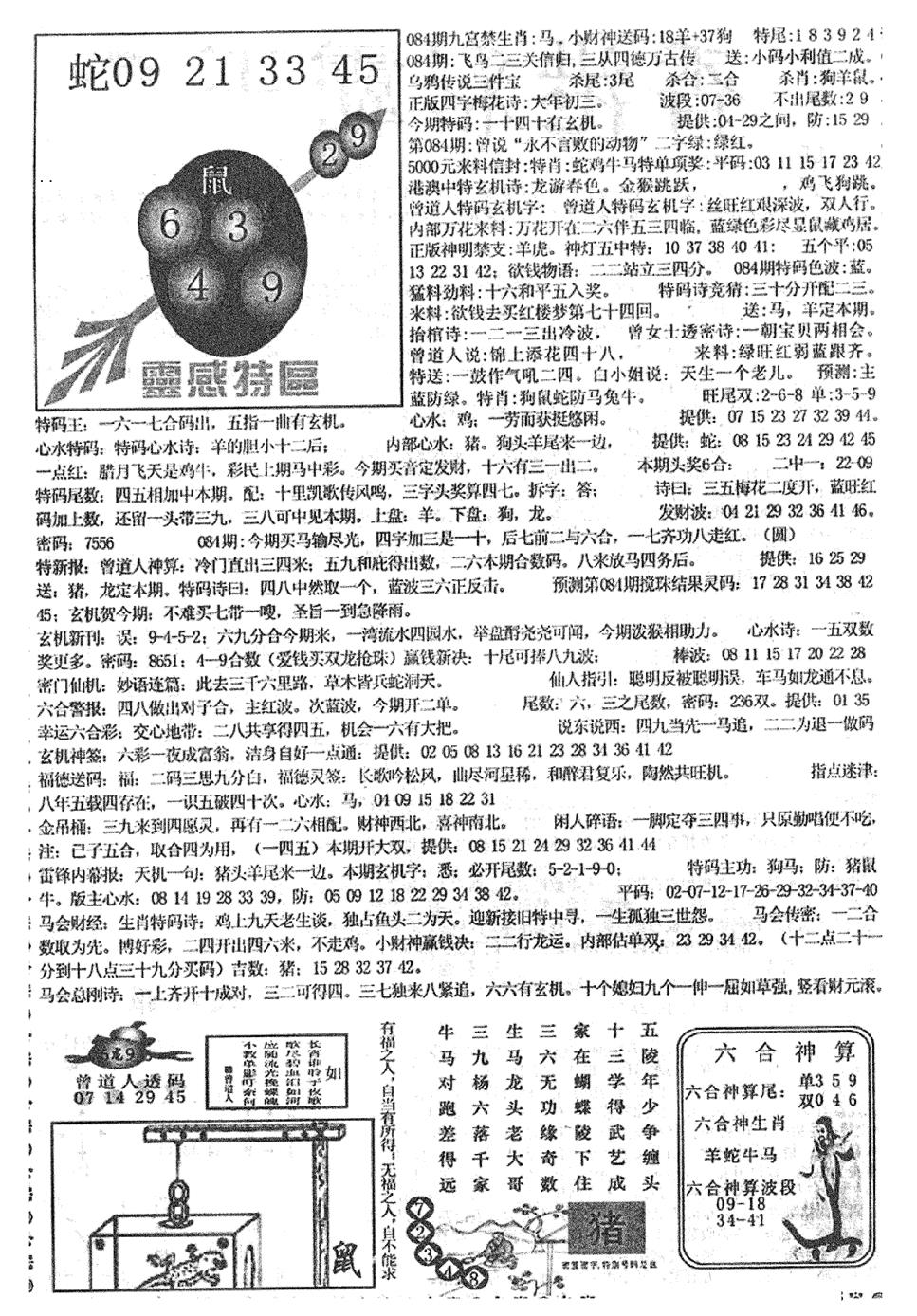 六合彩084期平西版彩霸王B(黑白)