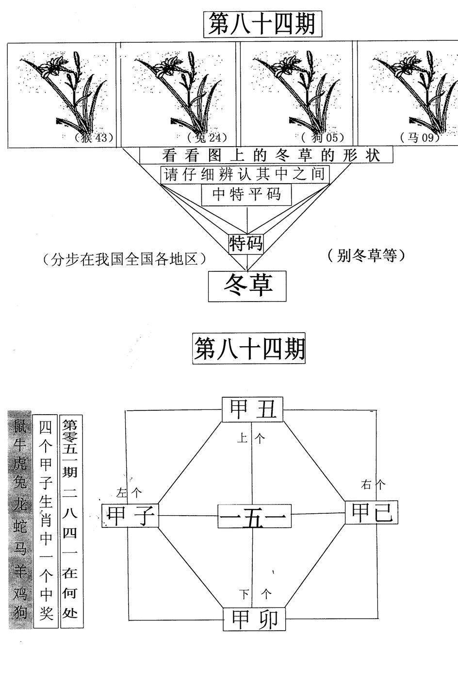 六合彩084期每期一花草(黑白)