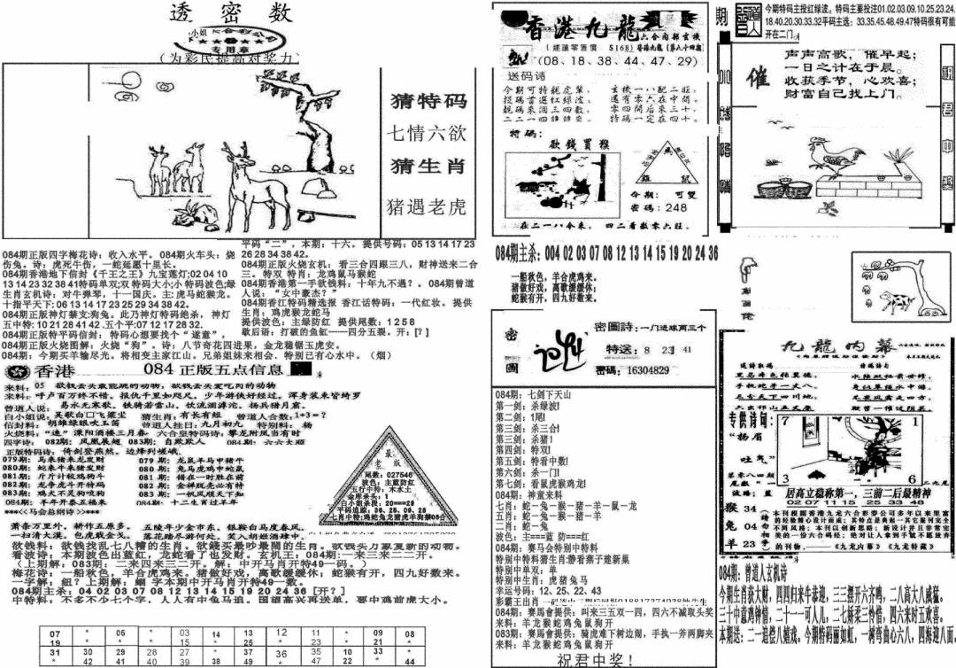 六合彩084期新透密数B(新)(黑白)