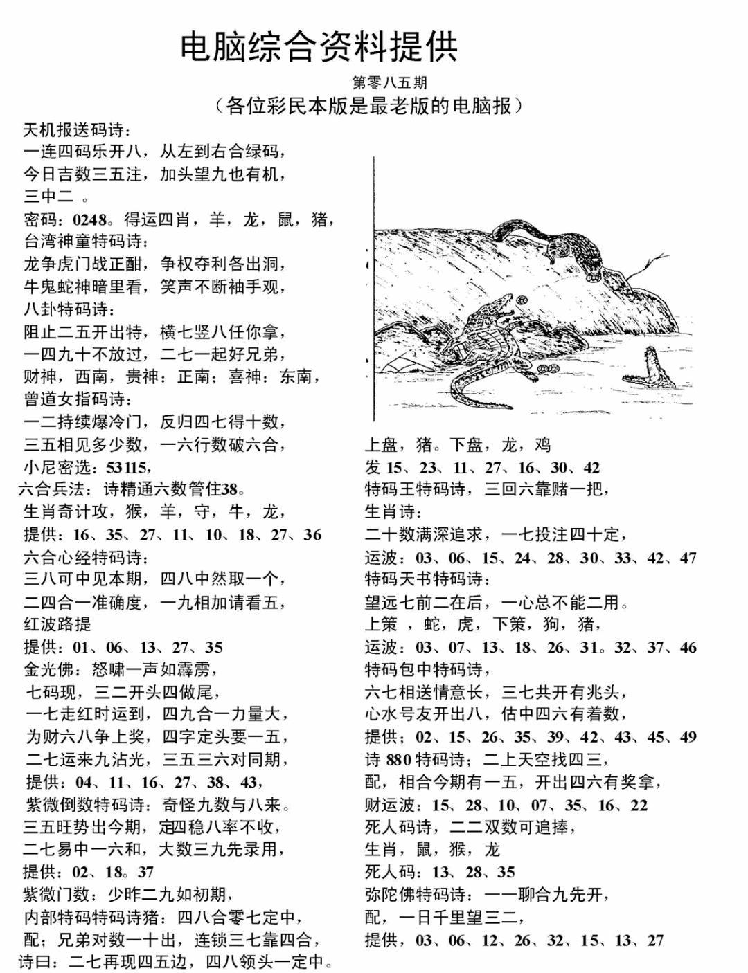 六合彩085期电脑综合资料A(黑白)