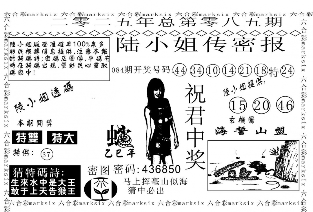 六合彩085期陆小姐传密A(黑白)