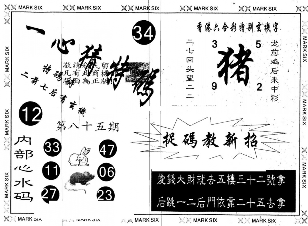 六合彩085期另版一心猜特码(黑白)