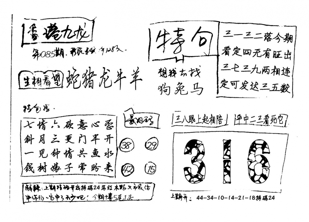 六合彩085期香港九龙(新图)手写(黑白)