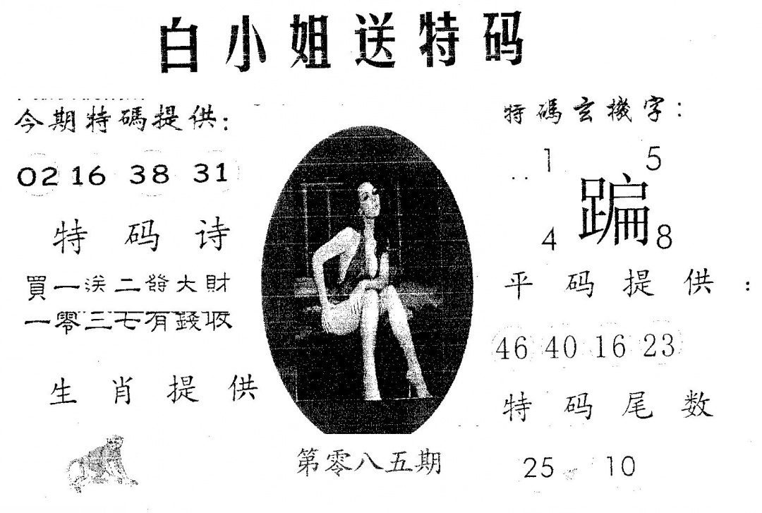 六合彩085期白姐送特(黑白)