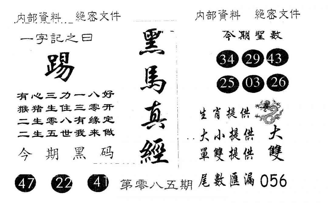 六合彩085期黑马真经(黑白)