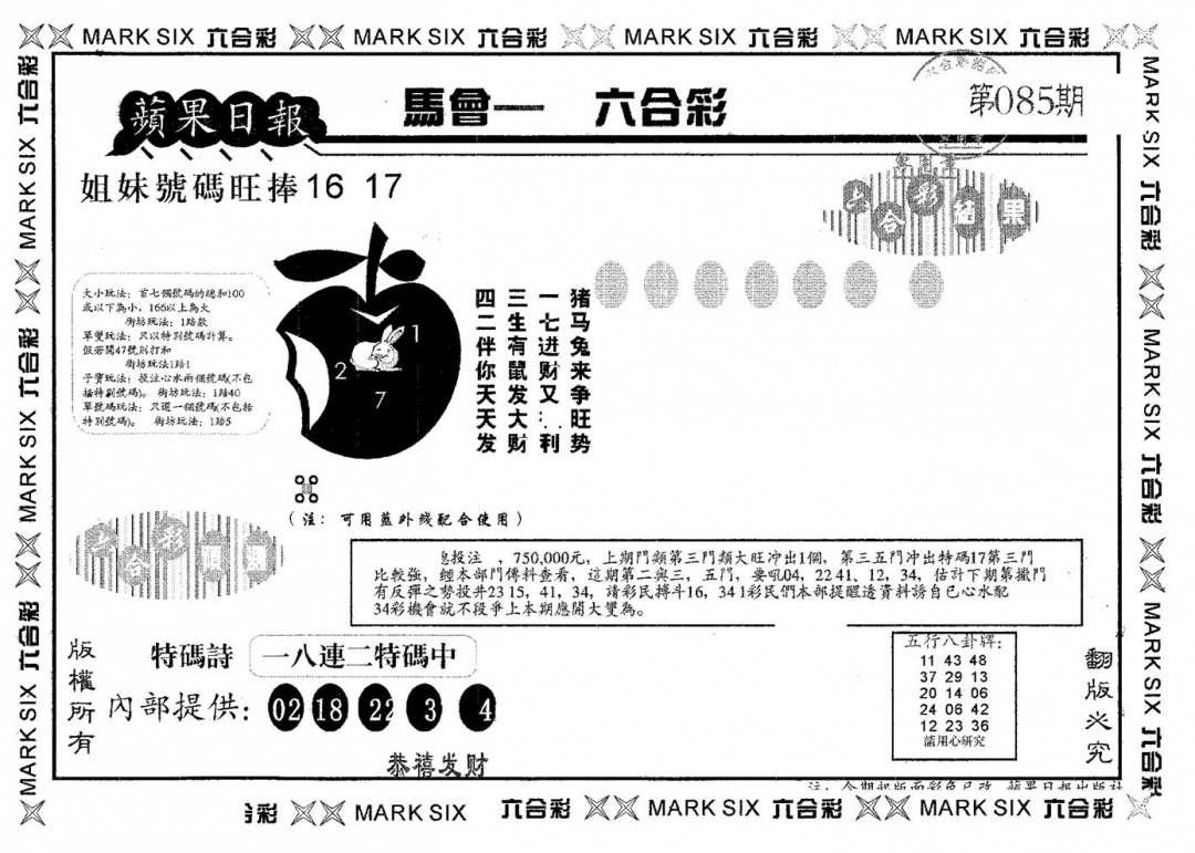 六合彩085期苹果日报A(黑白)