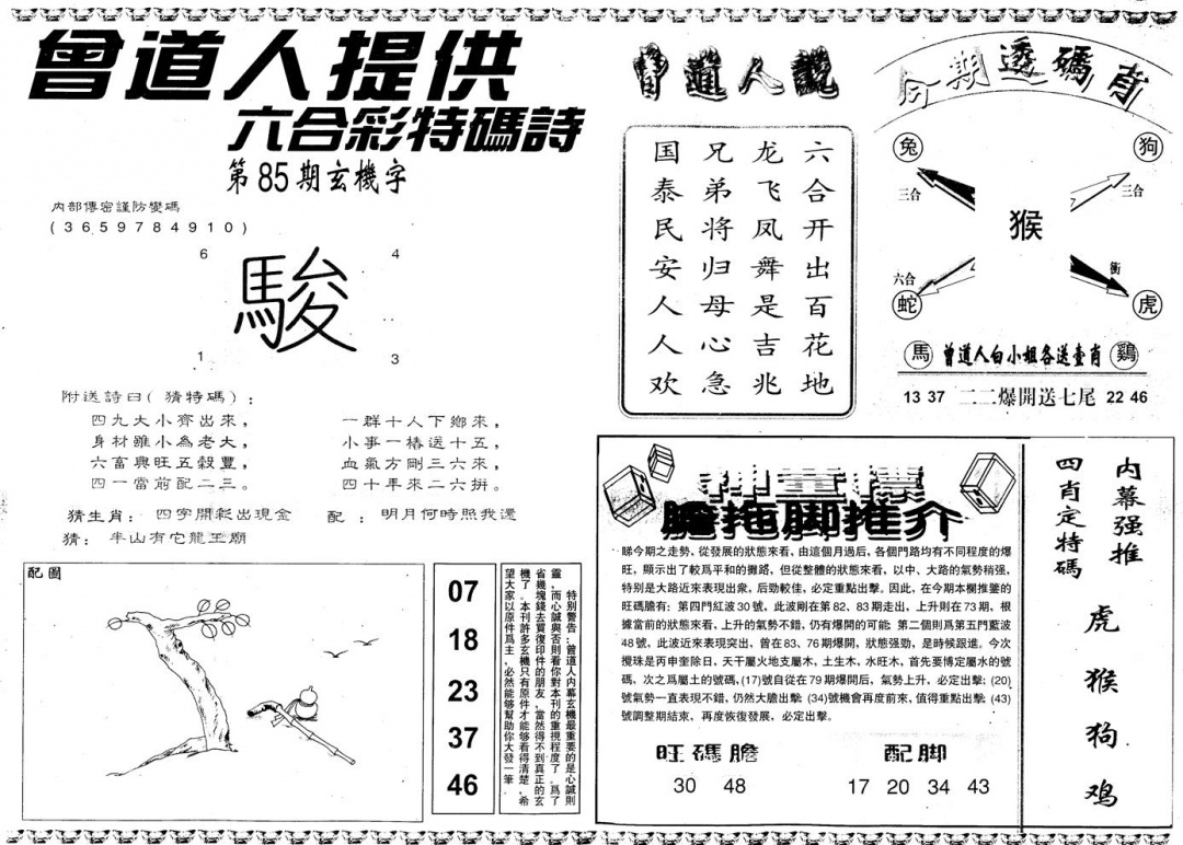 六合彩085期另内幕B(黑白)