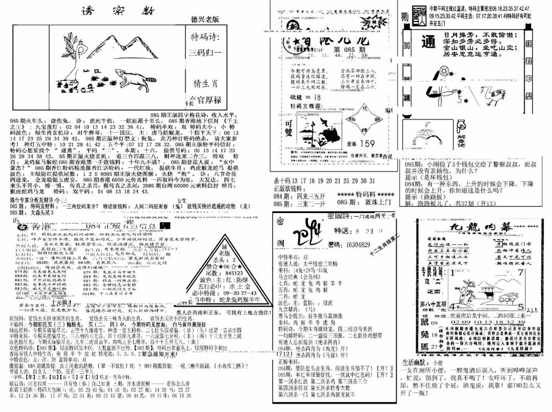 六合彩085期另新透密数A(新)(黑白)