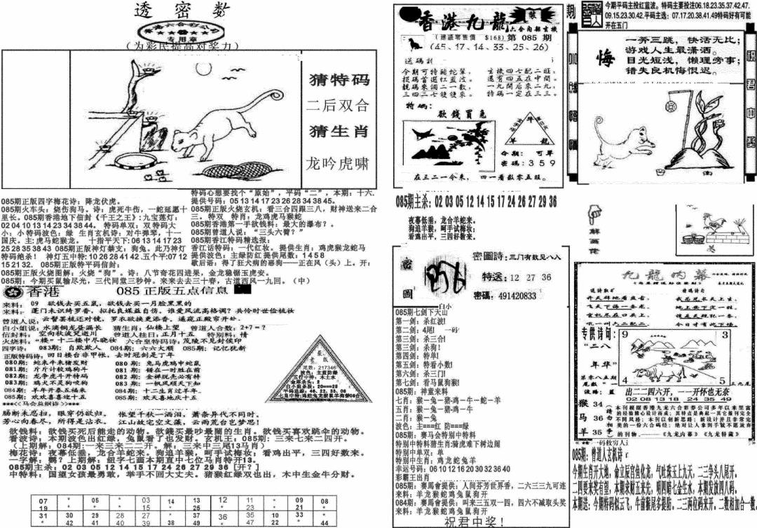 六合彩085期新透密数B(新)(黑白)