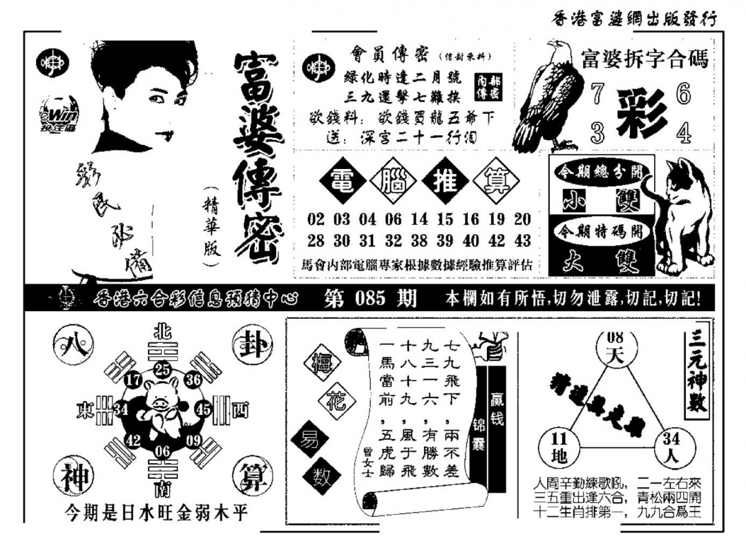 六合彩085期富婆传密(新料)(黑白)